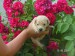 7_005.jpg